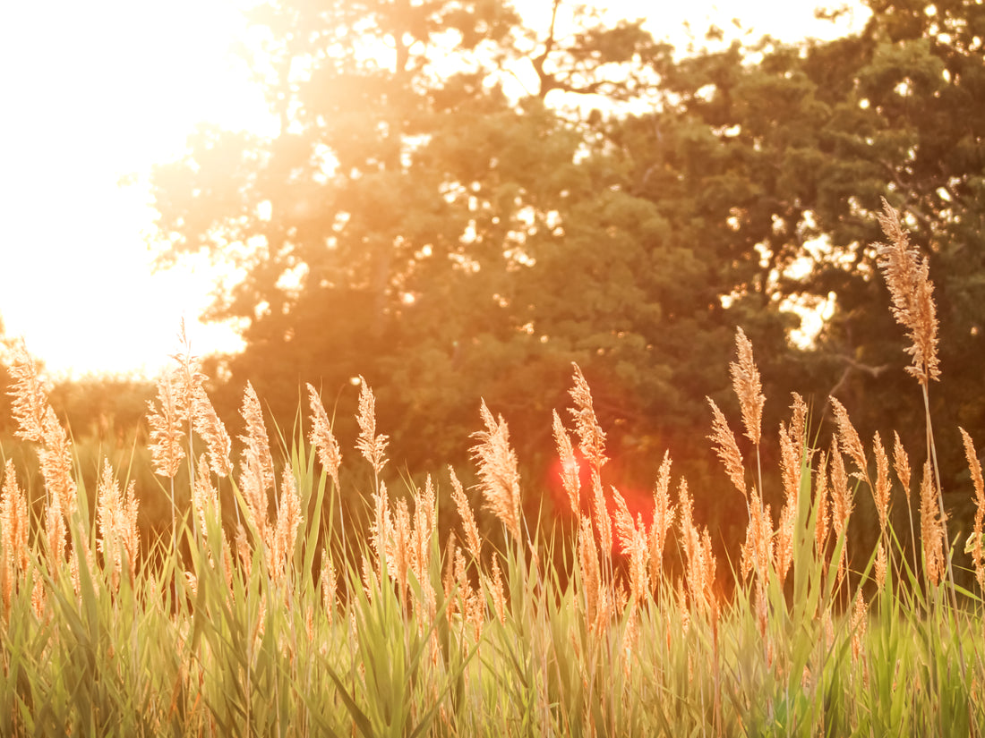 10 Ways to Beat the Heat This Summer