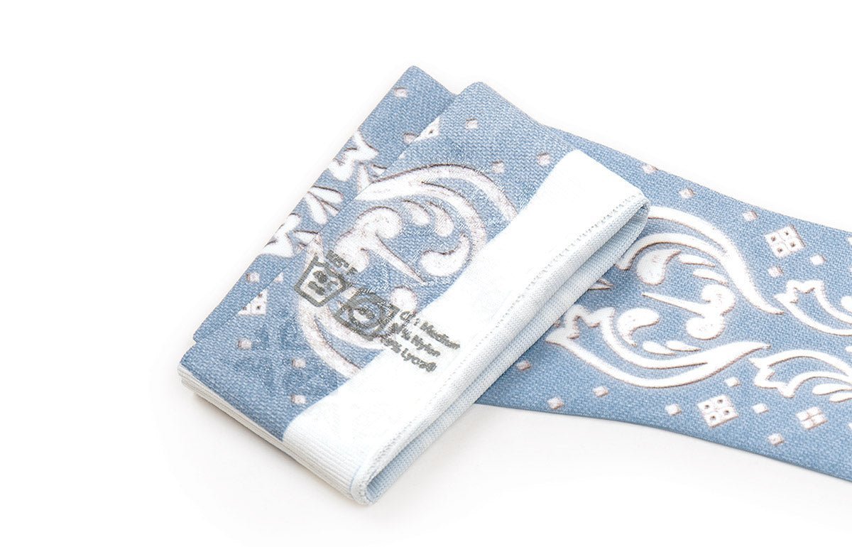 Claire Gradient Compression Arm Sleeve - LympheDIVAs