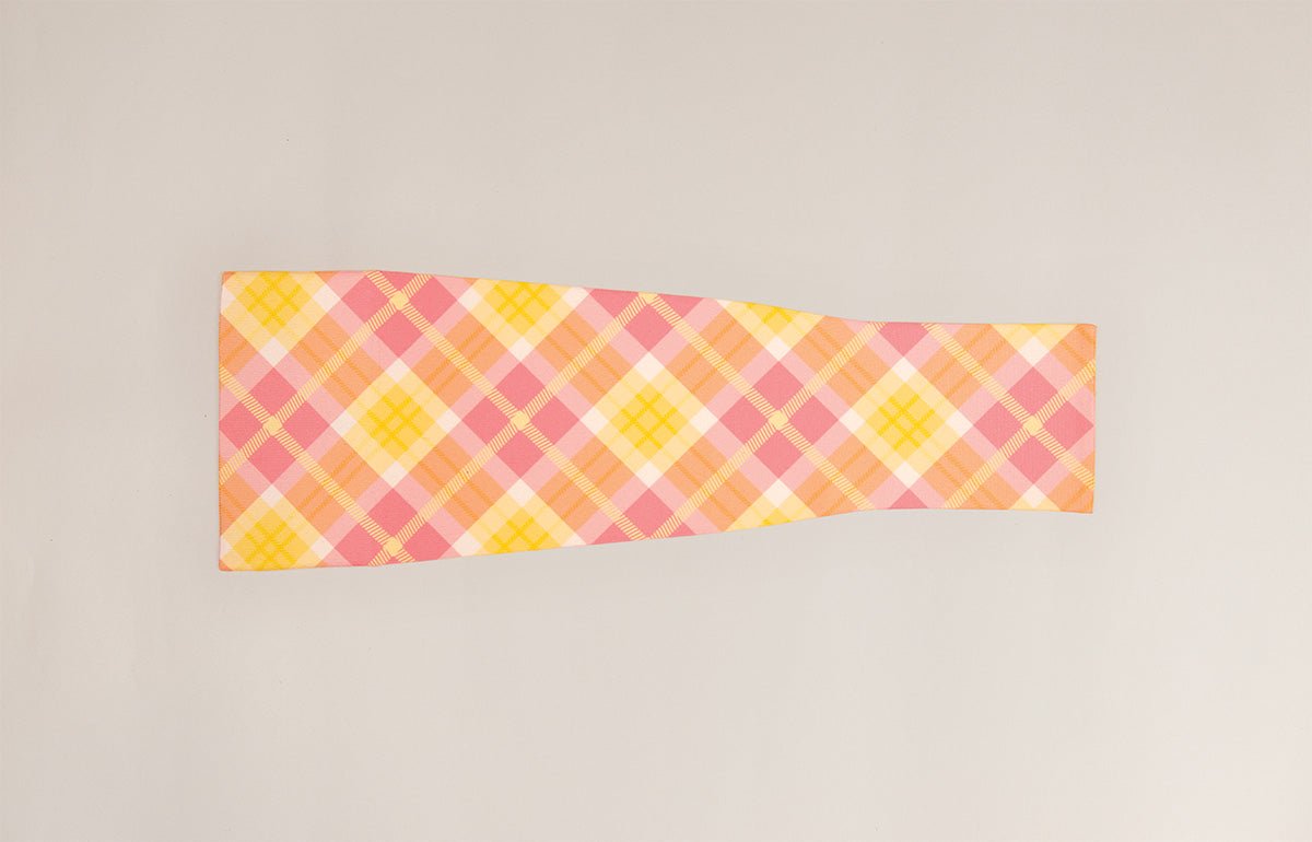 Picnic Gradient Compression Arm Sleeve - LympheDIVAs